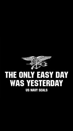 cover Navy Seal No easy day