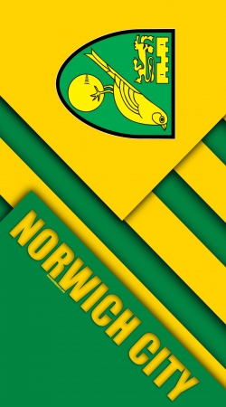 cover Norwich City