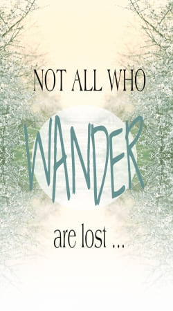 cover Not All Who wander are lost