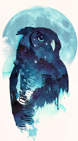 cover Night Owl
