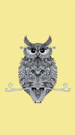 cover Owl