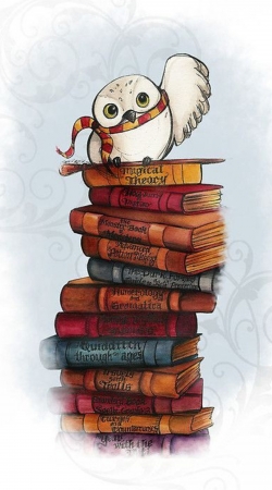 cover Owl and Books