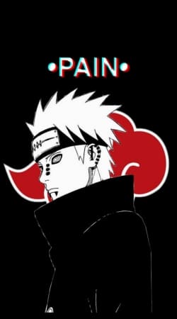 cover Pain The Ninja