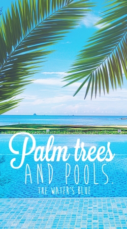 cover Palm Trees