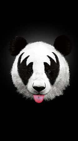 cover Kiss of a Panda