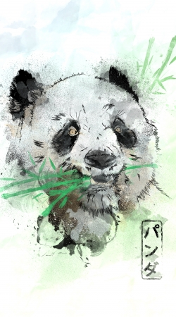 cover Panda Watercolor