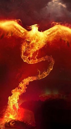 cover Phoenix in Fire