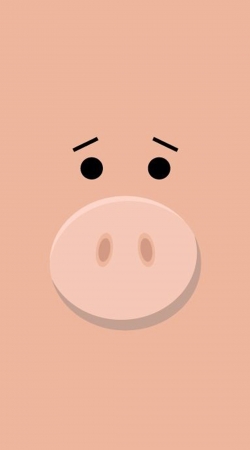 cover Pig Face