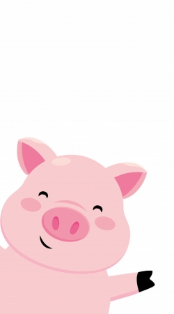 cover Pig Smiling