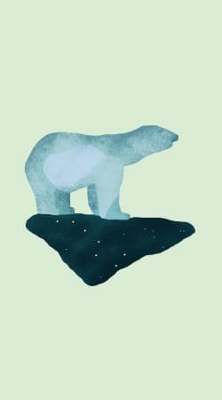 cover Polar Bear