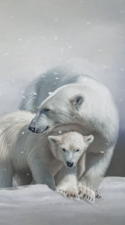 cover Polar bear family