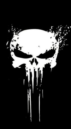 cover Punisher Skull