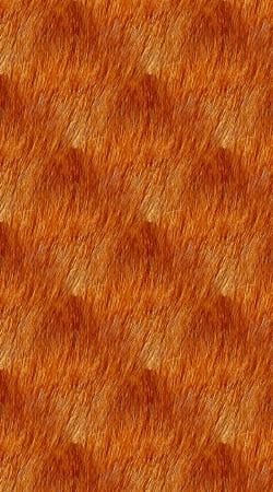 cover Puppy Fur Pattern