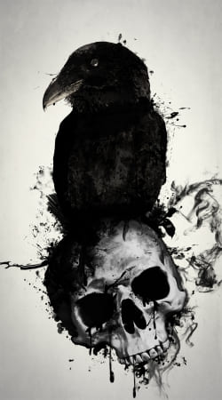 cover Raven and Skull