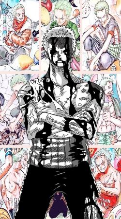 cover Roronoa Zoro My Life for my friends