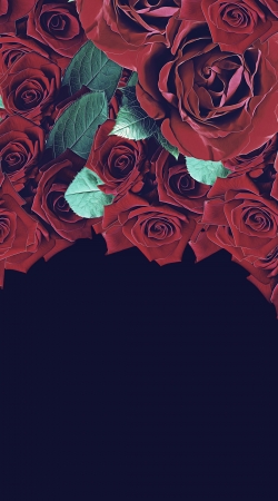 cover Roses