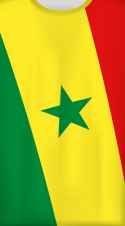 cover Senegal Football