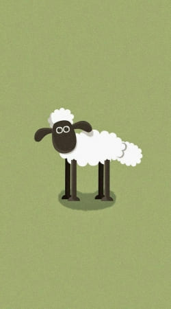 cover Sheep