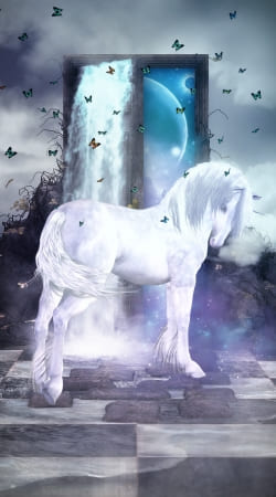 cover Silver Unicorn