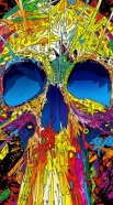 cover Color Skull Flashy