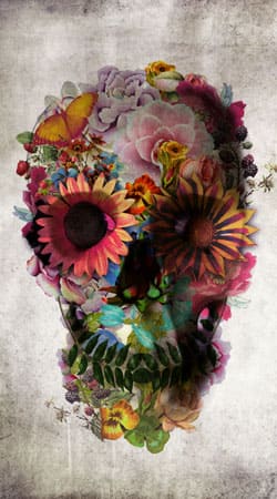cover Skull Flowers Gardening