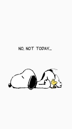 cover Snoopy No Not Today
