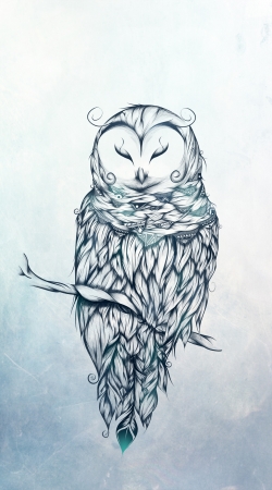 cover Snow Owl