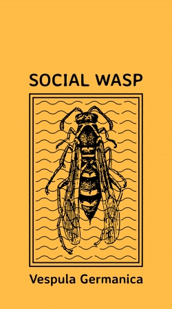 cover Social Wasp Vespula Germanica