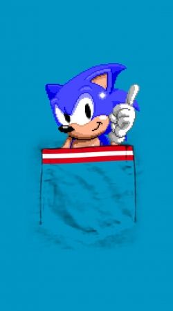 cover Sonic in the pocket