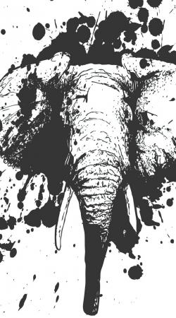 cover Splashing Elephant
