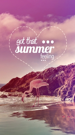 cover Summer Feeling