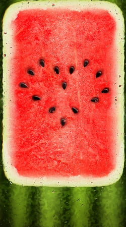 cover Summer Love watermelon