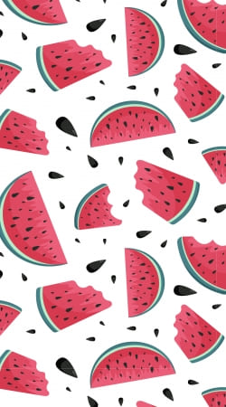 cover Summer pattern with watermelon