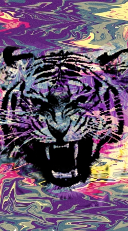 cover TIGER