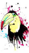 cover Mister Toucan