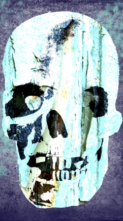 cover Vintage Blue Skull