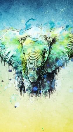 cover watercolor elephant