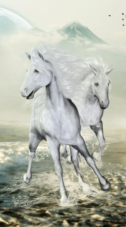 cover White Horses on the beach