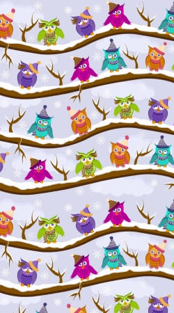 cover winter owls