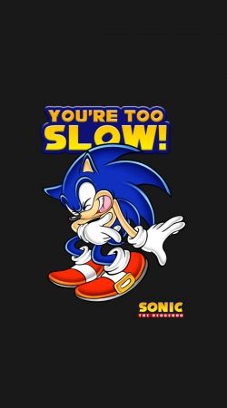 cover You're Too Slow - Sonic