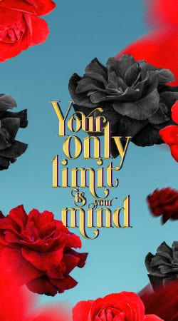 cover Your Limit