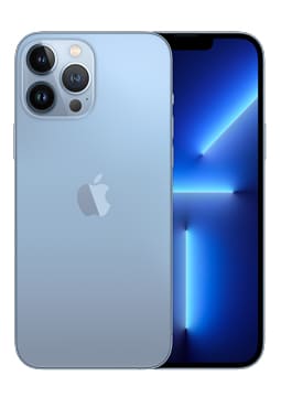 iPhone 13 Pro Max cases