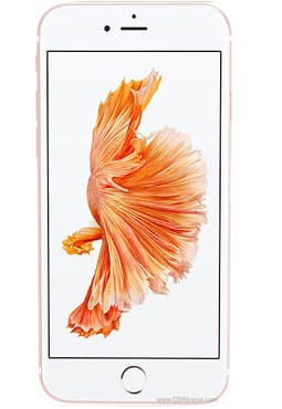 Iphone 7 / Iphone 8 / iPhone SE 2020 cases