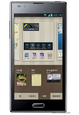 LG Optimus LTE2 F160 case