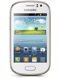 Samsung Galaxy Fame S6810P case