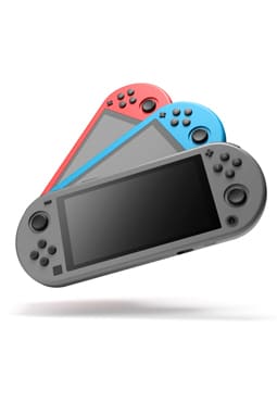 Nintendo Switch Lite cases