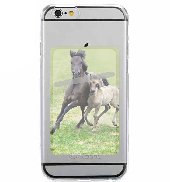  Horses, wild Duelmener ponies, mare and foal for Adhesive Slot Card