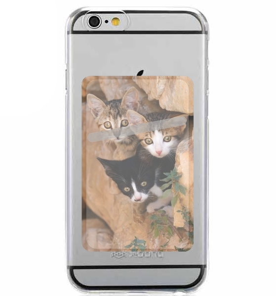  Three cute kittens in a wall hole for Adhesive Slot Card