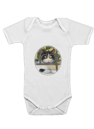  Cat with spectacles frame, she looks through a wrought iron fence for Baby short sleeve onesies