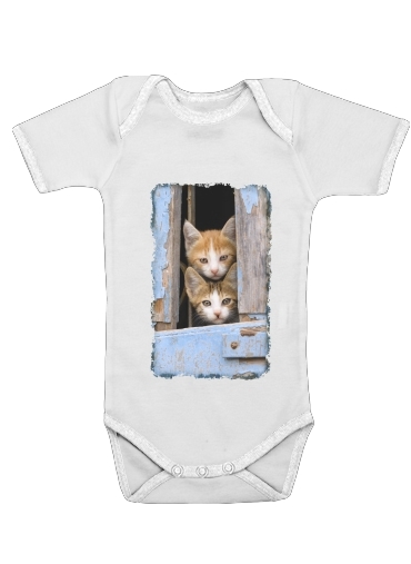 Baby short sleeve onesies for Cute curious kittens in an old window
